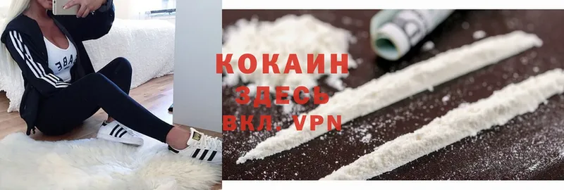 КОКАИН Fish Scale  закладки  Курильск 